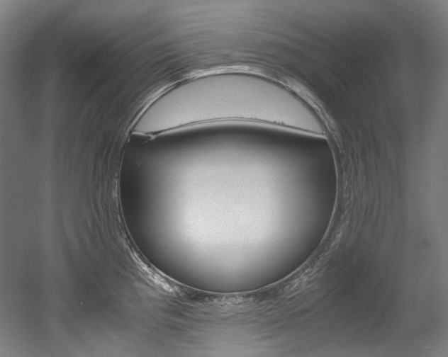 X0000052631193200507011025