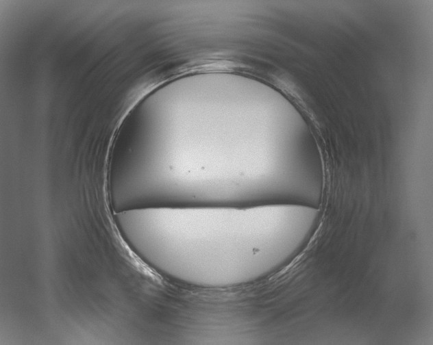 X0000052631194200507011025