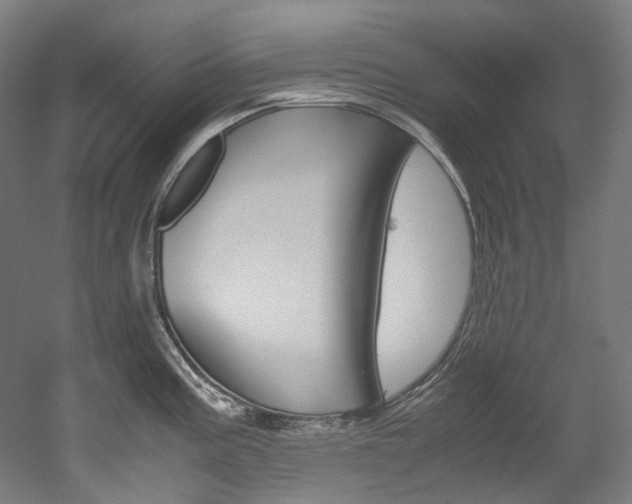X0000052631195200507011025
