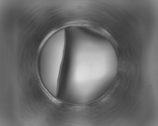 X0000052631196200507011025