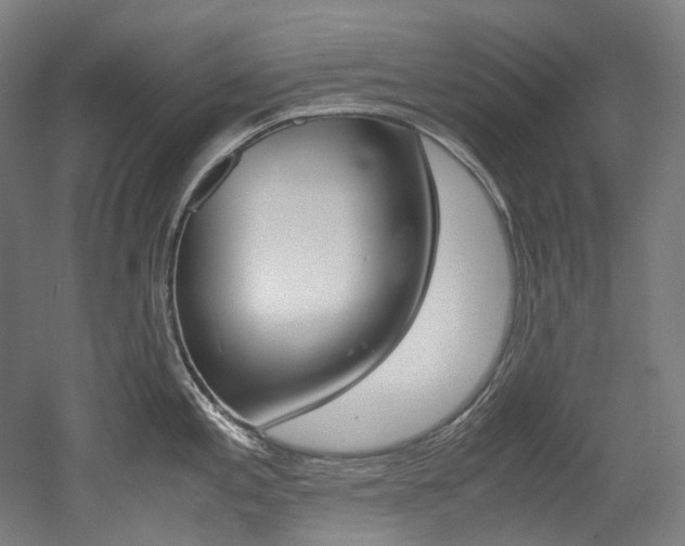 X0000052631197200507011025