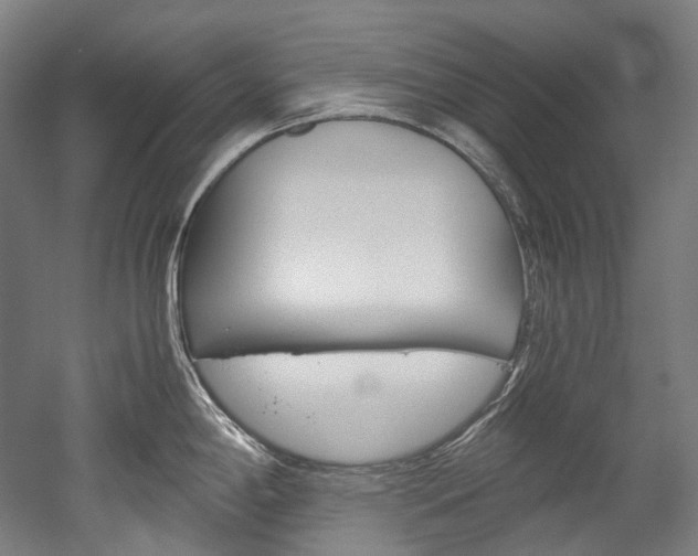 X0000052631198200507011025