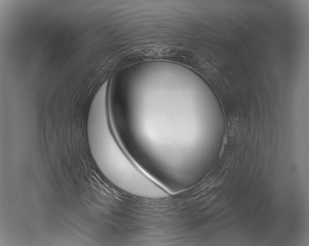 X0000052631202200507011025