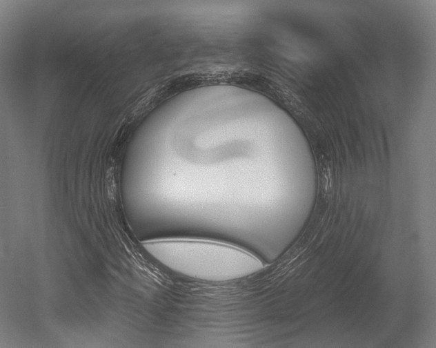 X0000052631204200507011025