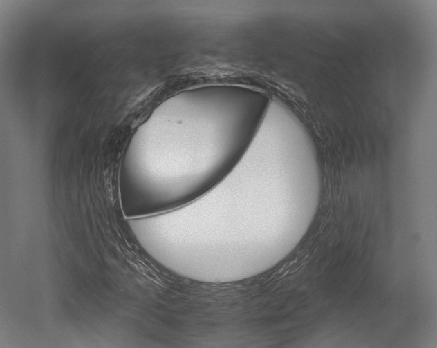 X0000052631205200507011025