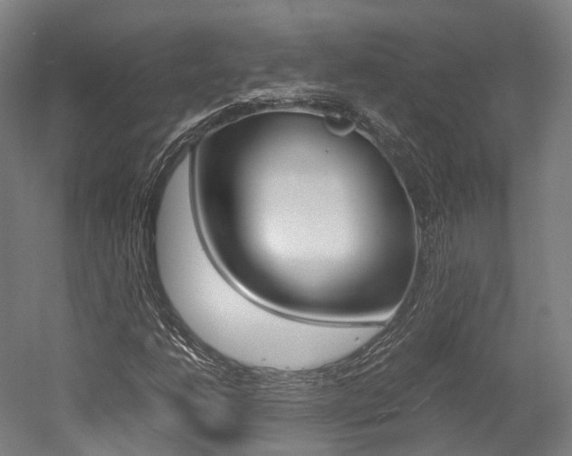 X0000052631206200507011025