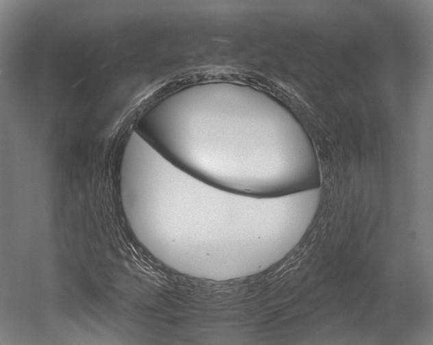 X0000052631207200507011025