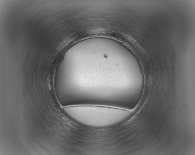 X0000052631209200507011025