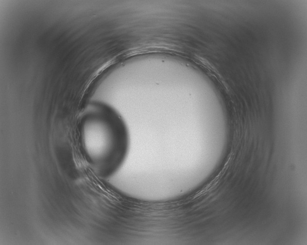 X0000052631210200507011025