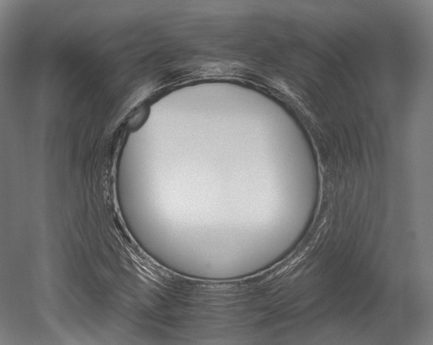 X0000052631211200507011025