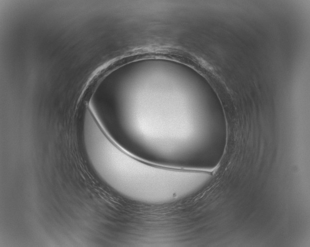 X0000052631214200507011025