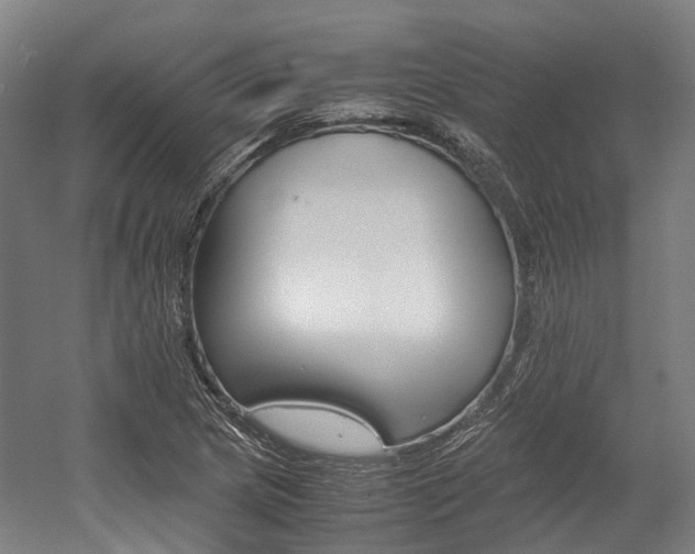 X0000052631217200507011025