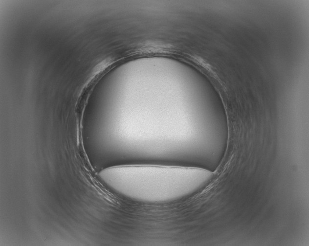 X0000052631219200507011025