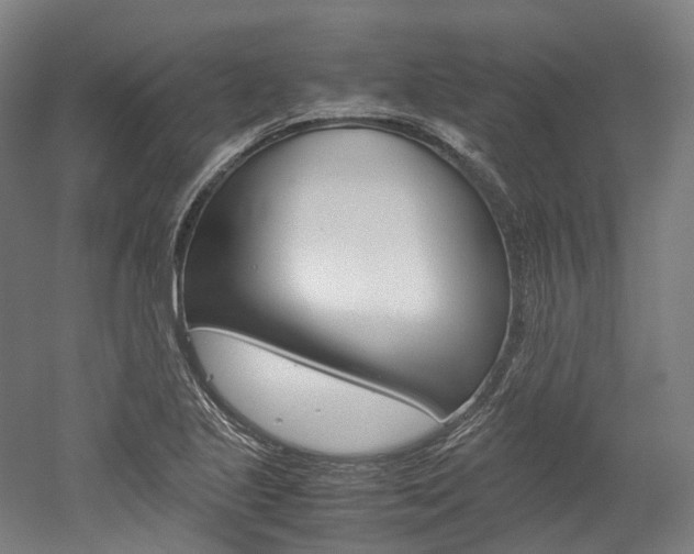 X0000052631221200507011025