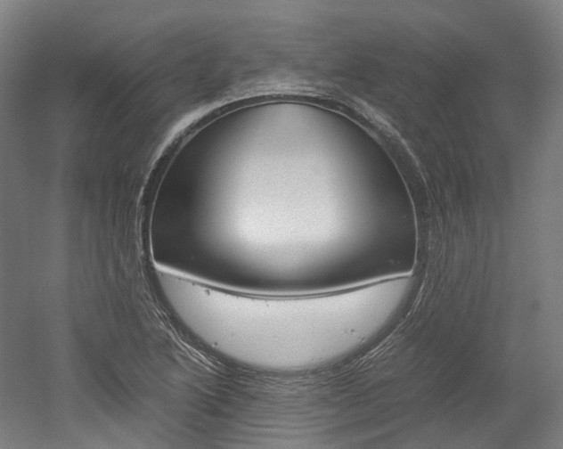 X0000052631222200507011025