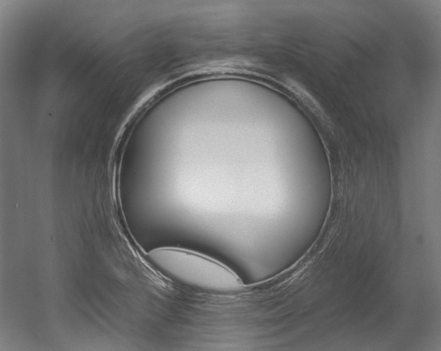 X0000052631224200507011025
