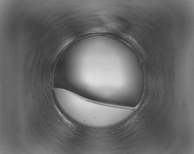 X0000052631225200507011025