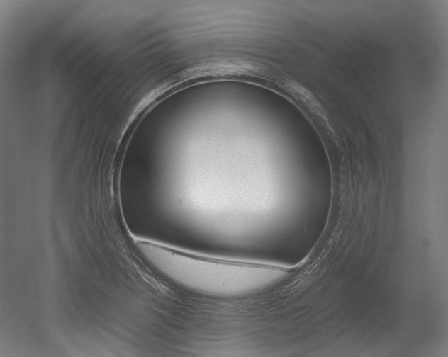 X0000052631226200507011025