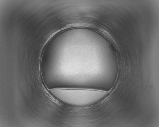 X0000052631228200507011025