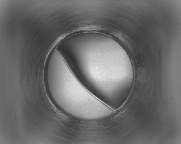 X0000052631229200507011025