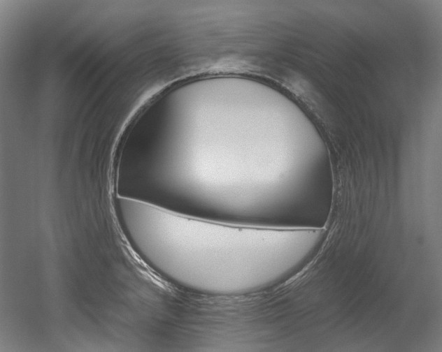 X0000052631232200507011025