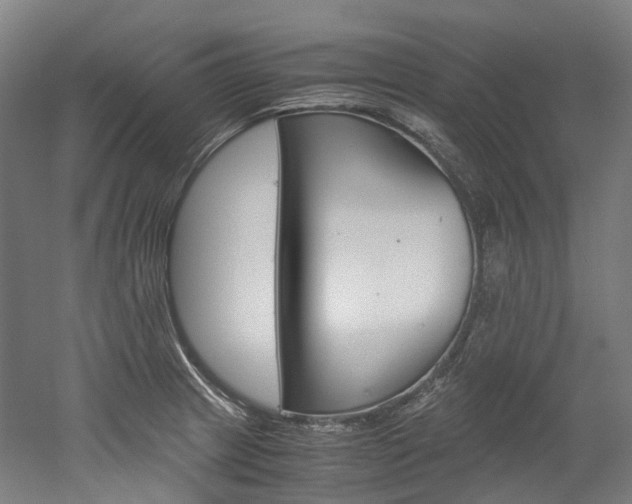 X0000052631233200507011025