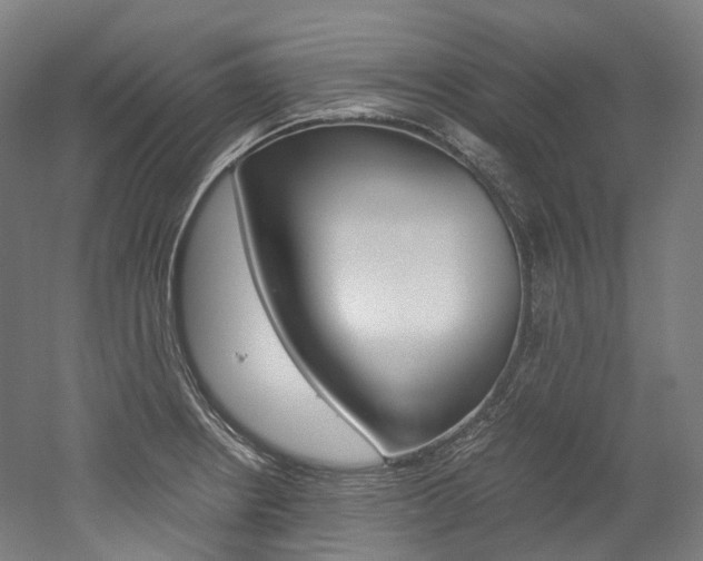 X0000052631234200507011025