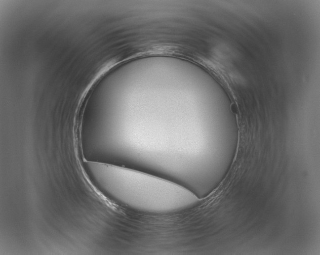 X0000052631235200507011025