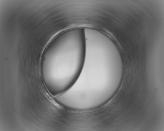 X0000052631236200507011025