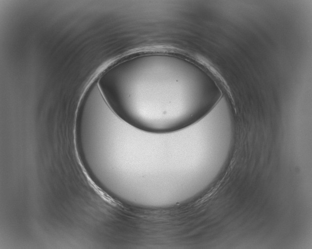 X0000052631237200507011025