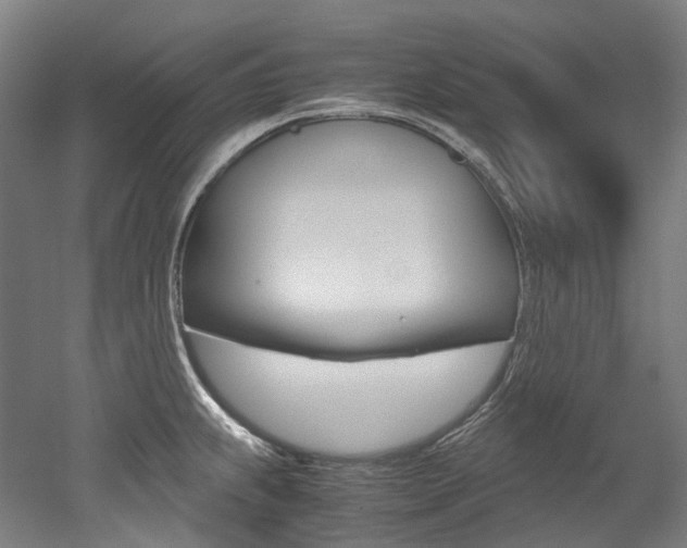 X0000052631239200507011025