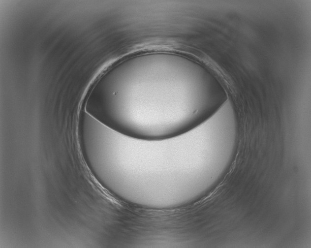 X0000052631240200507011025