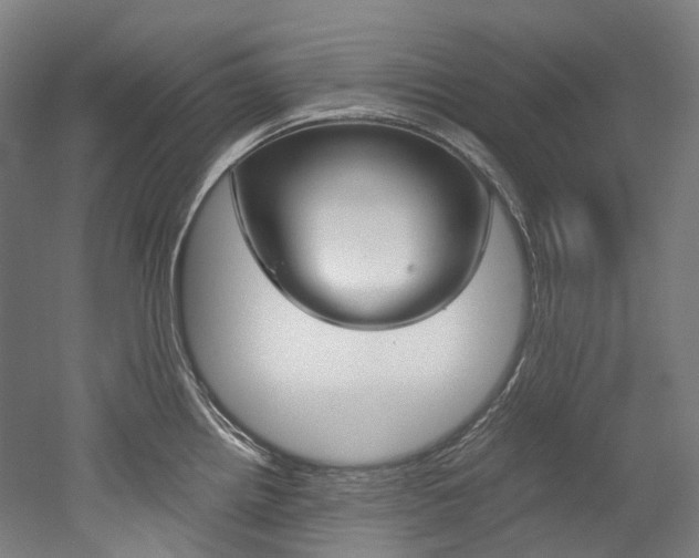 X0000052631242200507011025
