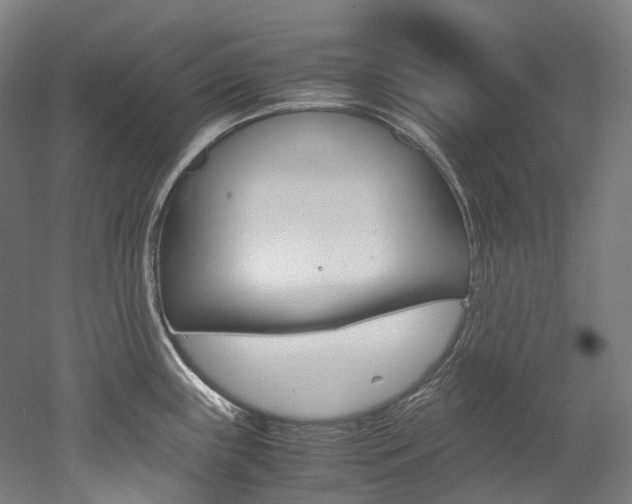 X0000052631243200507011025