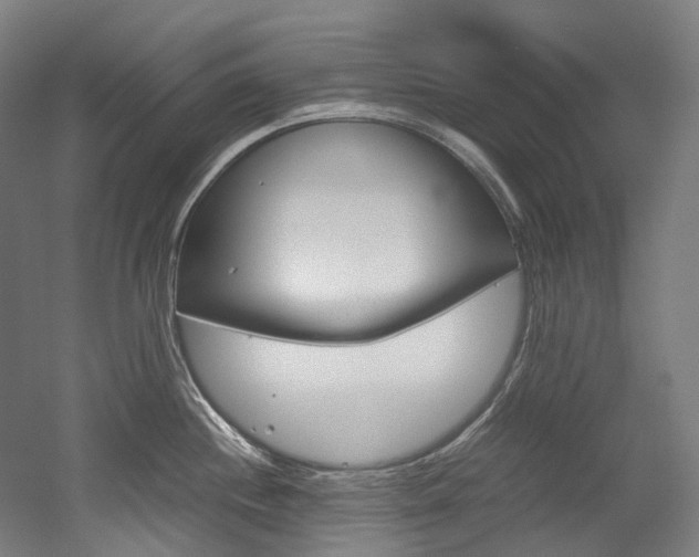 X0000052631244200507011025