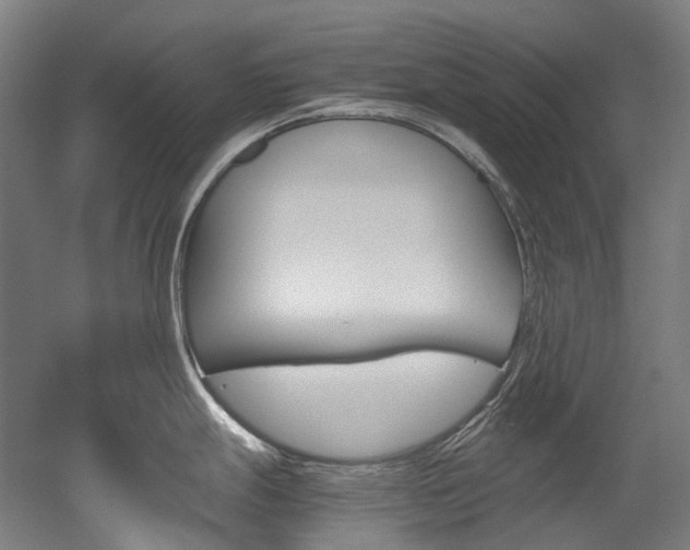 X0000052631247200507011025