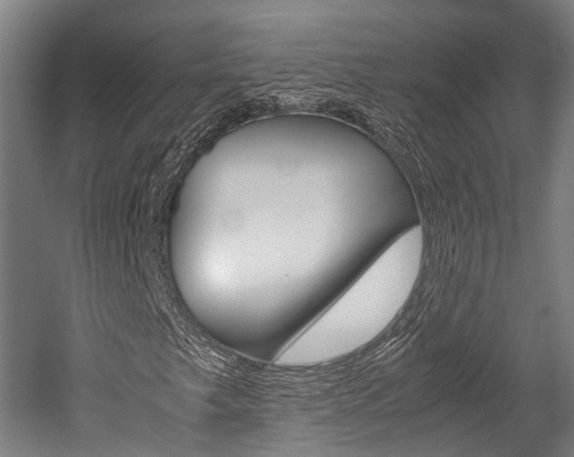 X0000052631249200507011024