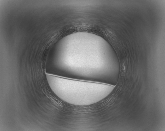 X0000052631252200507011024