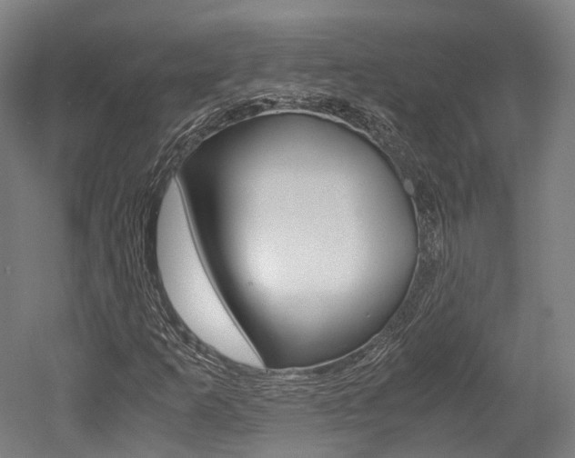 X0000052631253200507011024