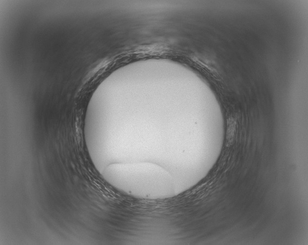 X0000052631254200507011024