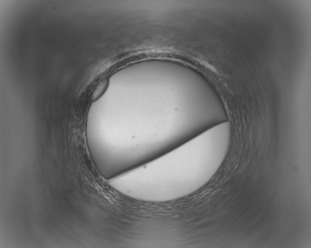 X0000052631255200507011024