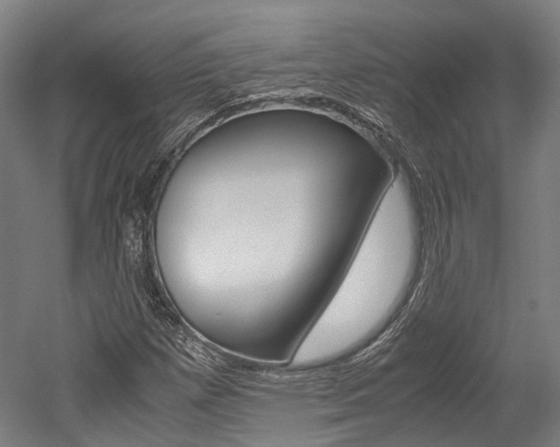 X0000052631257200507011024