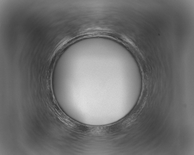 X0000052631259200507011024