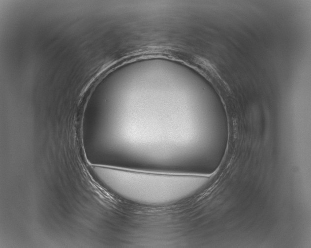 X0000052631260200507011024