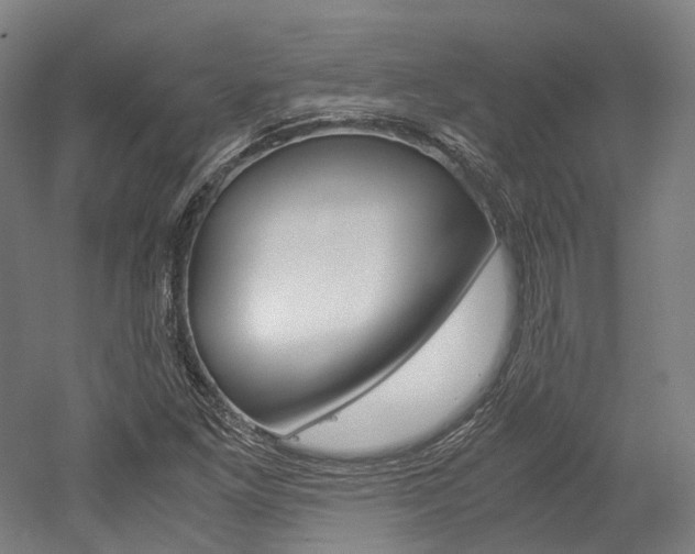X0000052631261200507011024