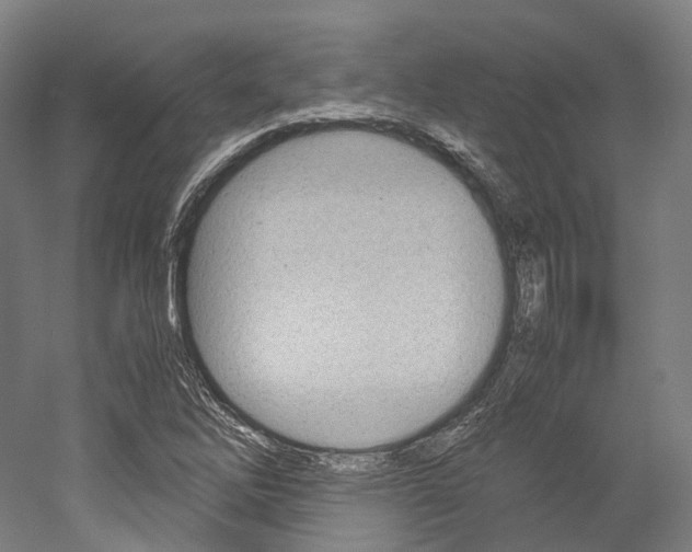 X0000052631262200507011024
