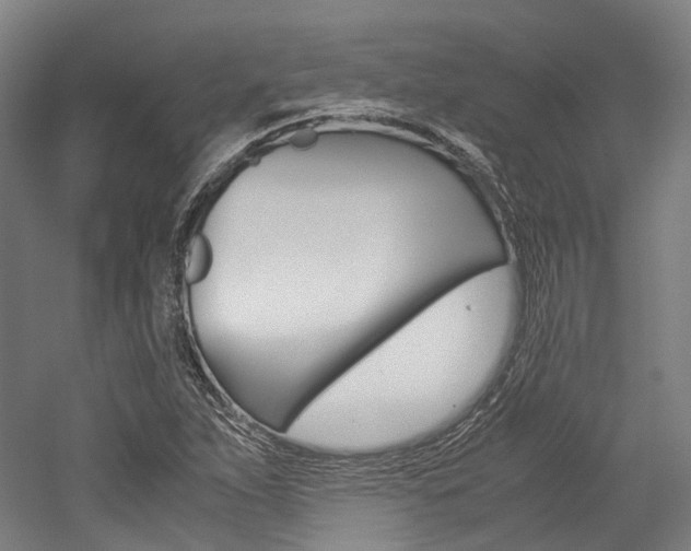 X0000052631263200507011024