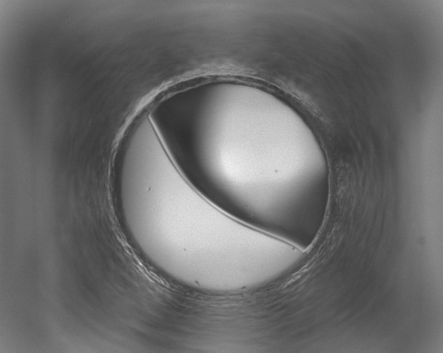 X0000052631264200507011024
