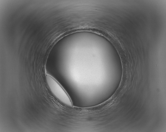 X0000052631265200507011024