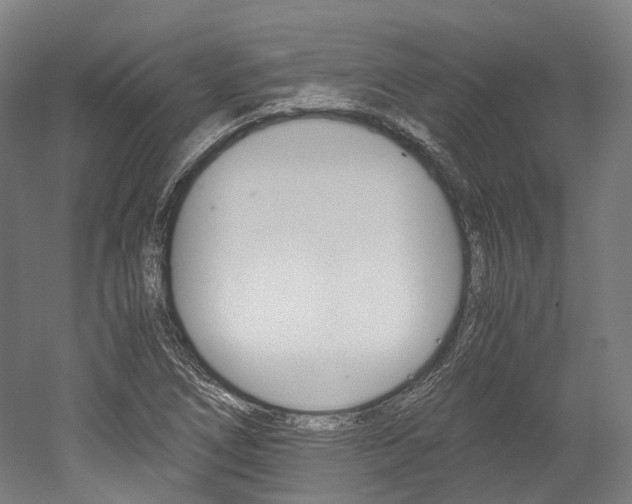 X0000052631266200507011024